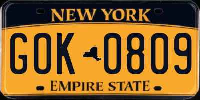 NY license plate GOK0809