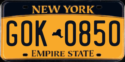 NY license plate GOK0850