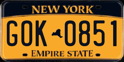 NY license plate GOK0851