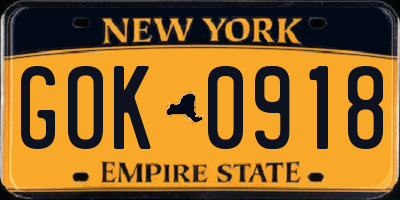 NY license plate GOK0918