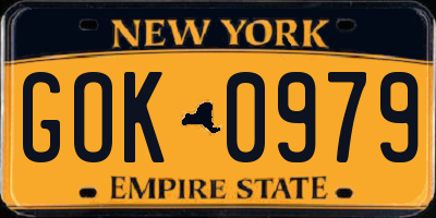 NY license plate GOK0979