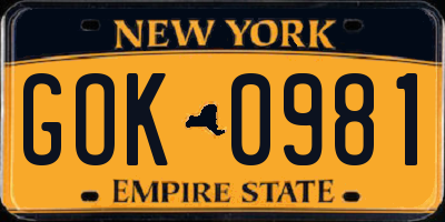 NY license plate GOK0981