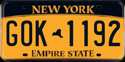 NY license plate GOK1192