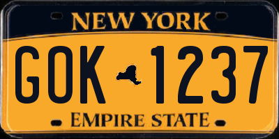 NY license plate GOK1237