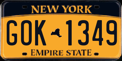 NY license plate GOK1349