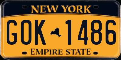 NY license plate GOK1486