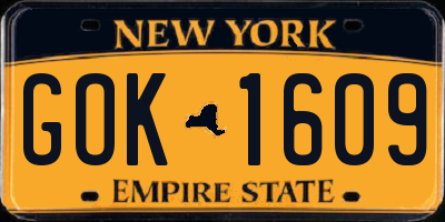 NY license plate GOK1609