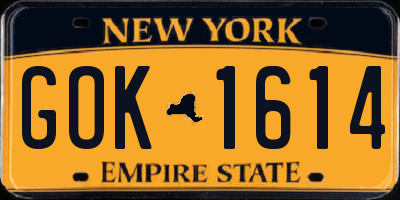 NY license plate GOK1614