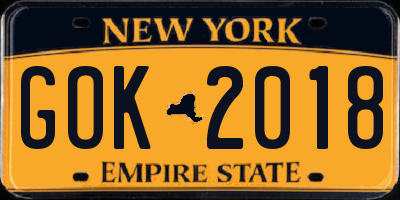 NY license plate GOK2018