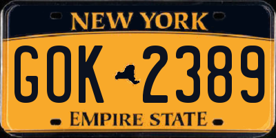 NY license plate GOK2389