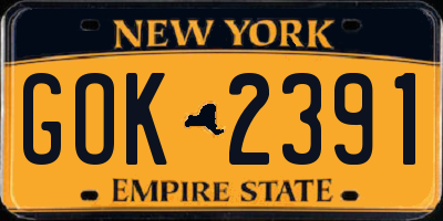 NY license plate GOK2391