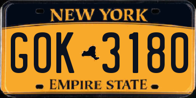 NY license plate GOK3180