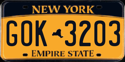 NY license plate GOK3203