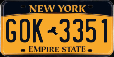 NY license plate GOK3351