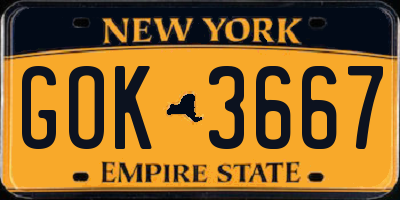 NY license plate GOK3667
