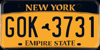 NY license plate GOK3731