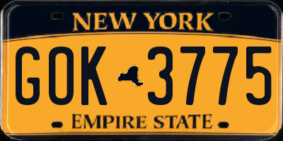 NY license plate GOK3775