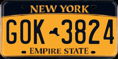 NY license plate GOK3824