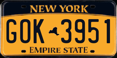 NY license plate GOK3951