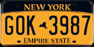 NY license plate GOK3987