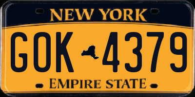 NY license plate GOK4379