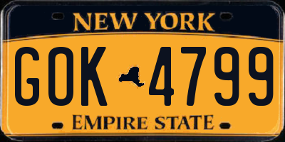 NY license plate GOK4799