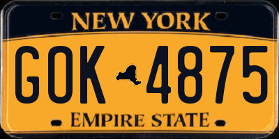 NY license plate GOK4875
