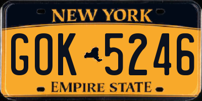NY license plate GOK5246