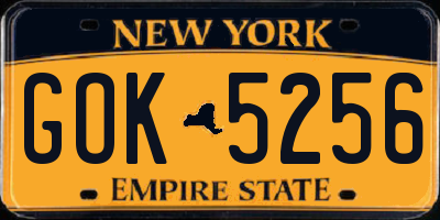 NY license plate GOK5256
