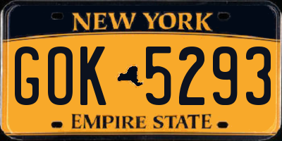 NY license plate GOK5293