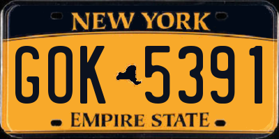 NY license plate GOK5391