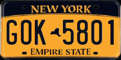 NY license plate GOK5801