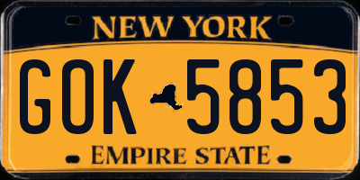 NY license plate GOK5853
