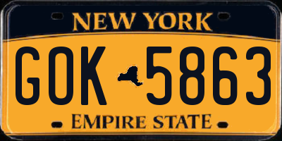 NY license plate GOK5863