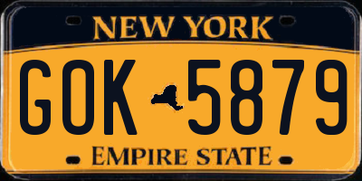 NY license plate GOK5879