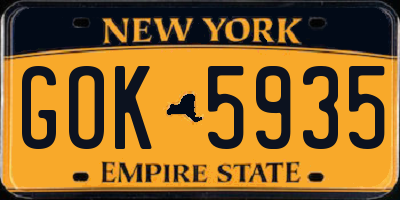 NY license plate GOK5935