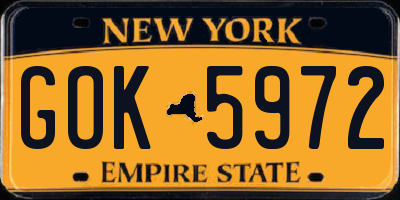 NY license plate GOK5972