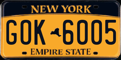 NY license plate GOK6005