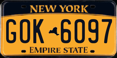 NY license plate GOK6097