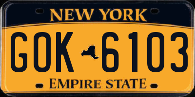 NY license plate GOK6103