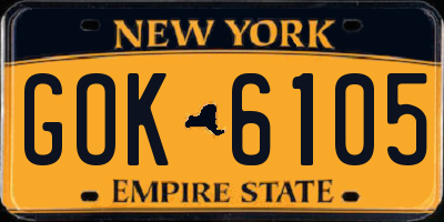 NY license plate GOK6105