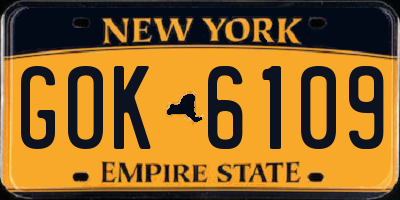 NY license plate GOK6109
