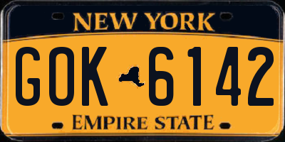 NY license plate GOK6142