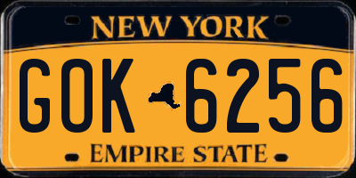 NY license plate GOK6256