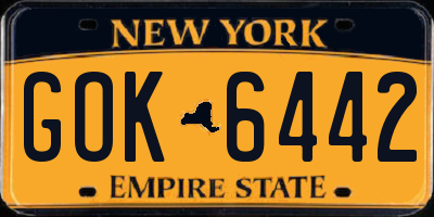 NY license plate GOK6442