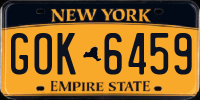 NY license plate GOK6459