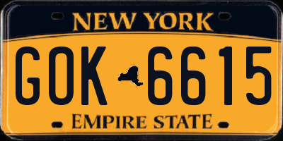 NY license plate GOK6615