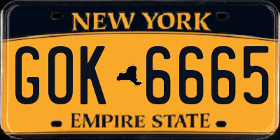 NY license plate GOK6665