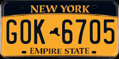 NY license plate GOK6705