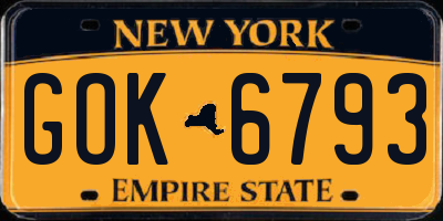NY license plate GOK6793